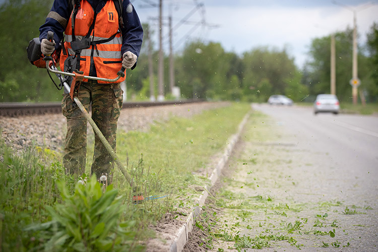 O que é conservação e manutenção de áreas verdes em rodovias?